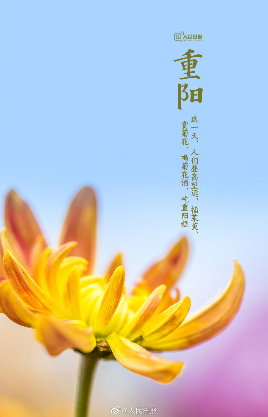 70e5deb1012c49c0ace401f22d096824.jpg