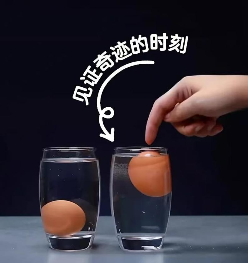89c39d92c81a46978722a821200c036a.Jpeg