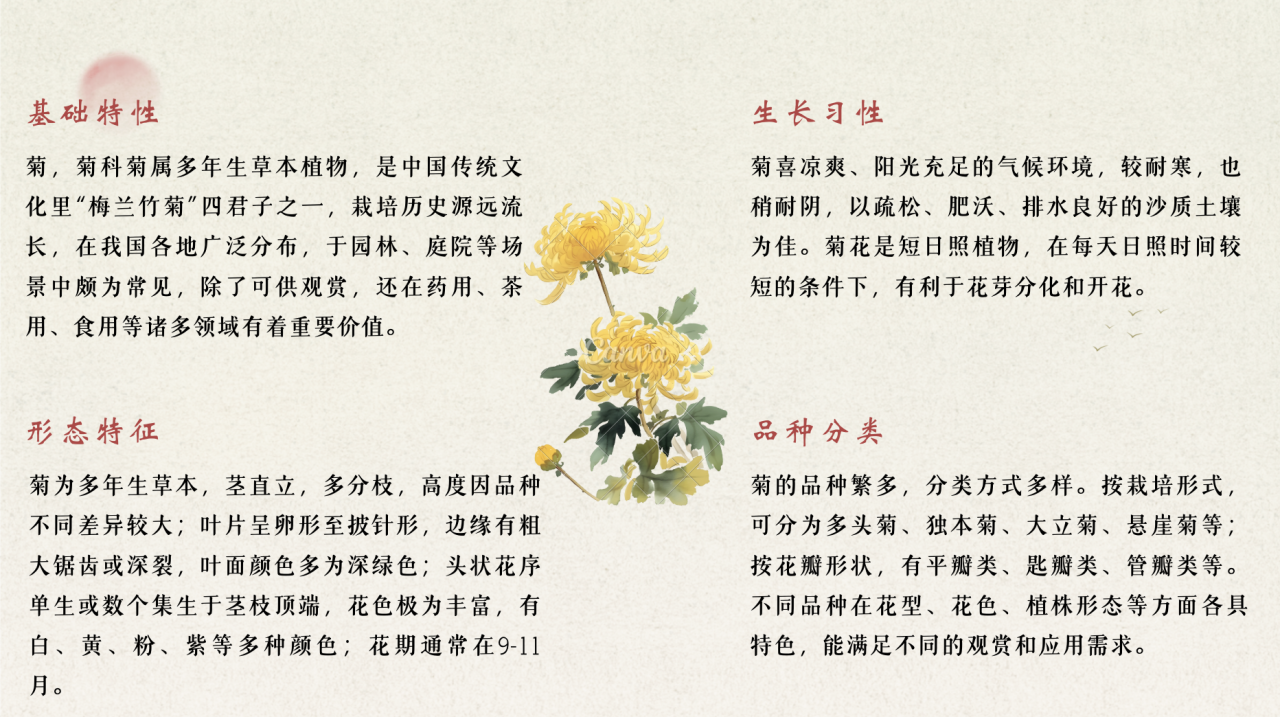 93ce3348d9fb413dba2b7b0fb4c363dc.Png