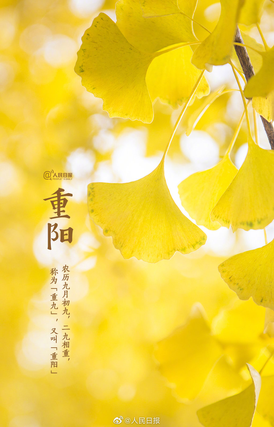 9c61828a9fc9404d941340ae1842fa99.jpg