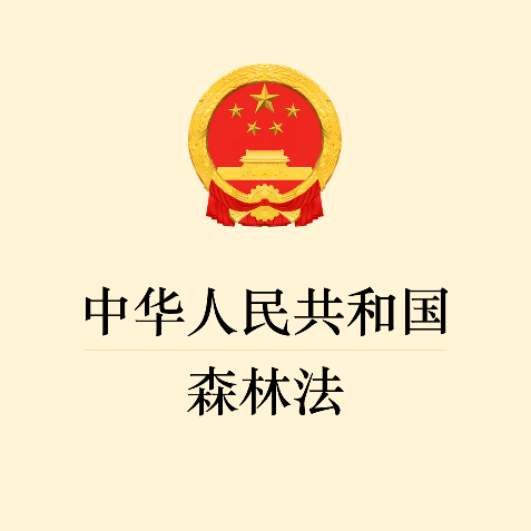 d3da9231432a4565a7388b9e2b1e25a0.Png