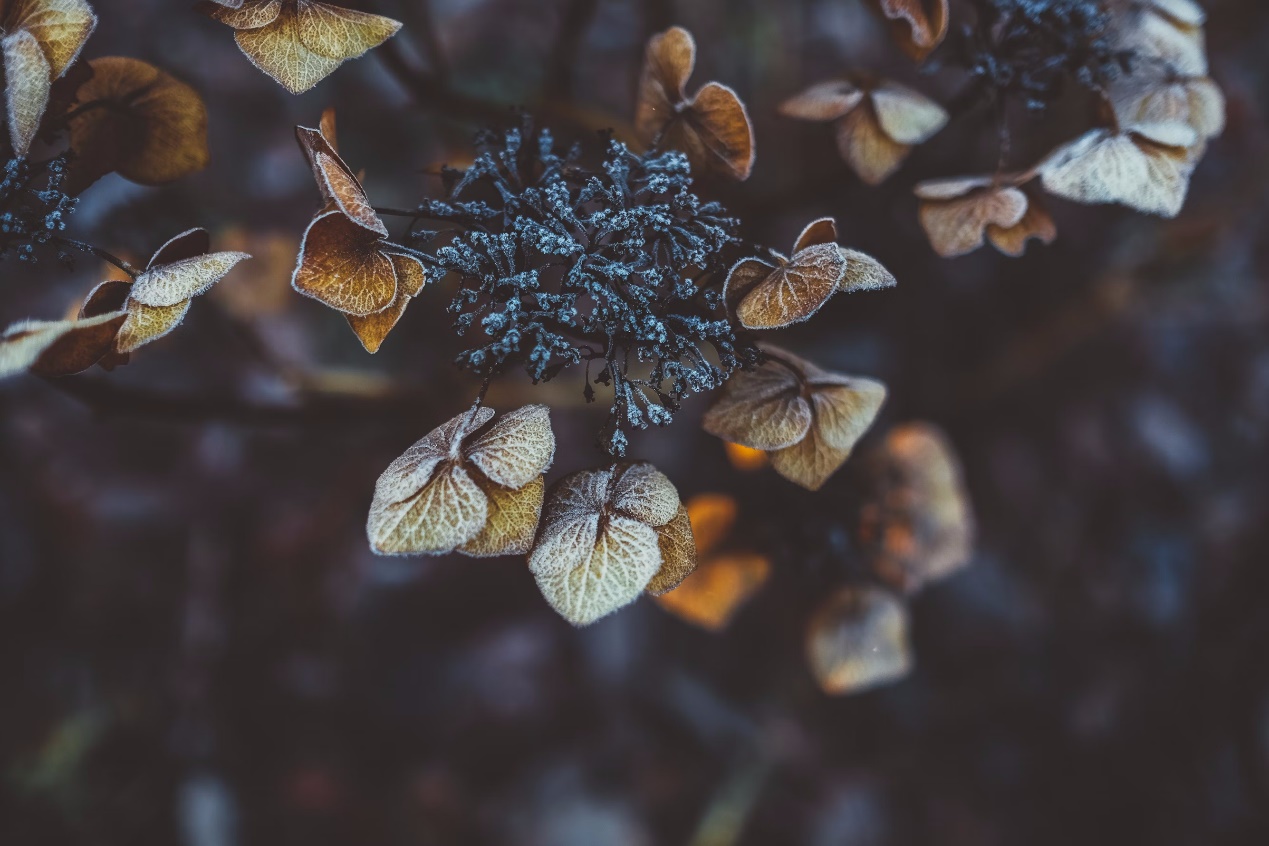 fa7578f6de8a46f686f306cfe7b1303f.Jpeg